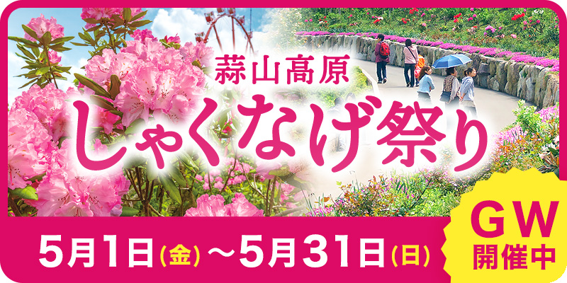 しゃくなげ祭り