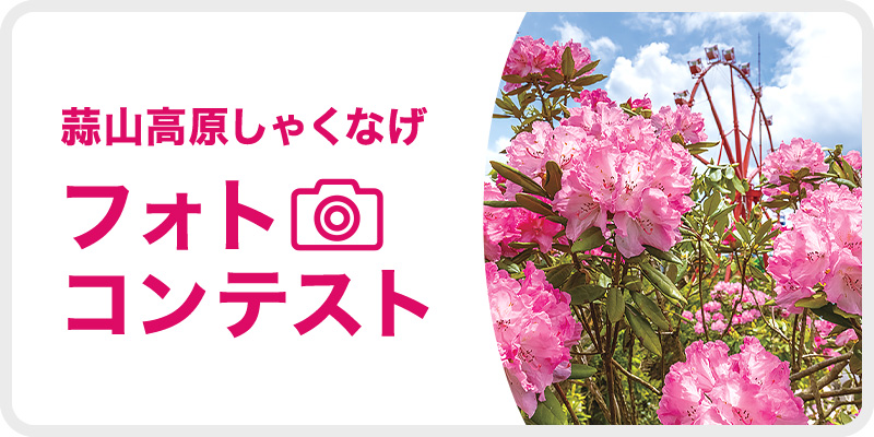 蒜山高原しゃくなげフォトコンテスト