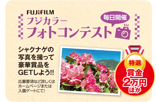 フジカラーフォトコンテスト