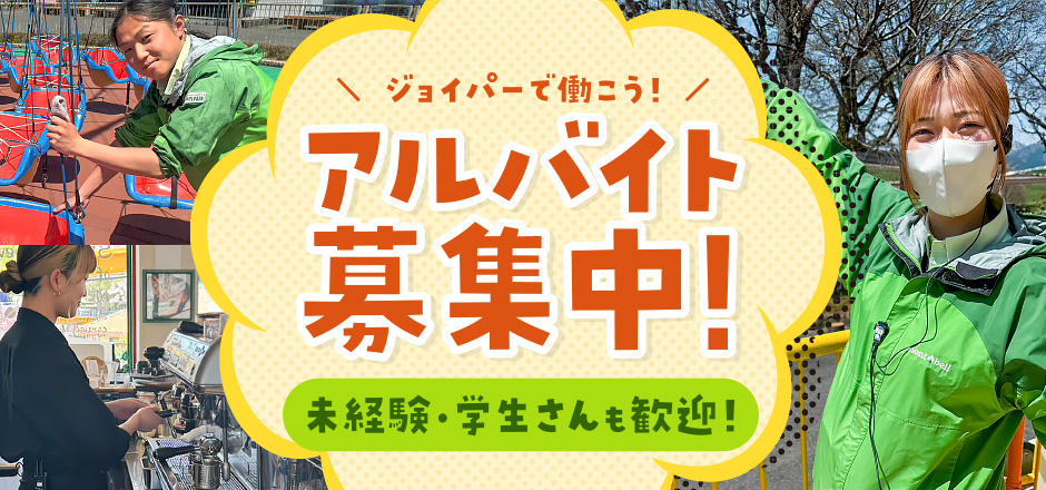 採用メイン