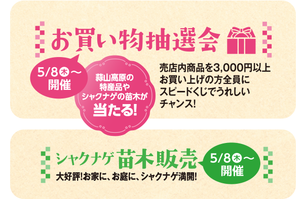 お買い物抽選会・シャクナゲ苗木販売