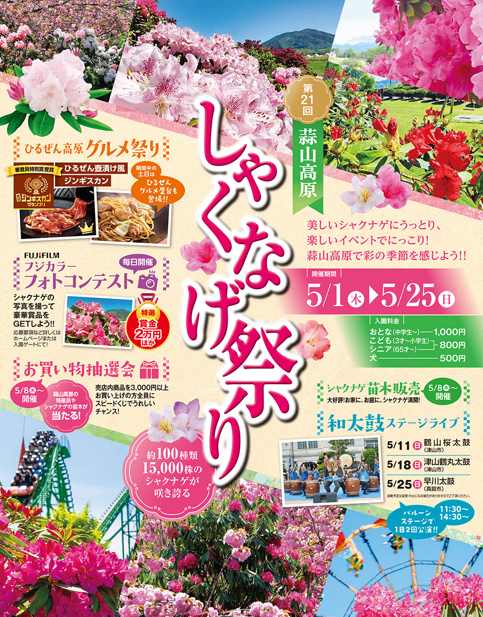 しゃくなげ祭り