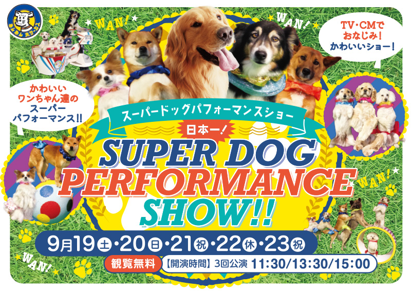 スーパードッグパフォーマンスショー