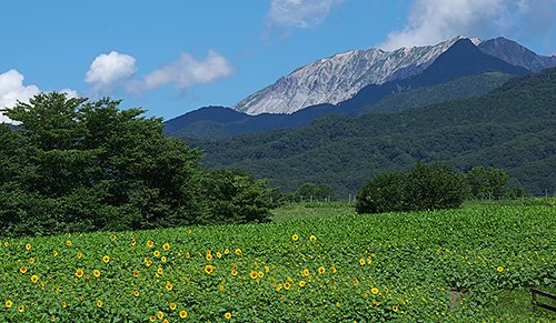 ビバリーヒルゼン