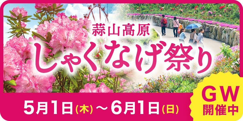 しゃくなげ祭り
