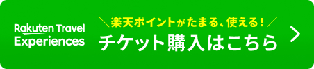 楽天トラベルでチケット購入