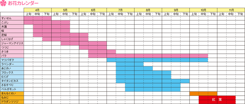 お花カレンダー