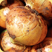 野菜